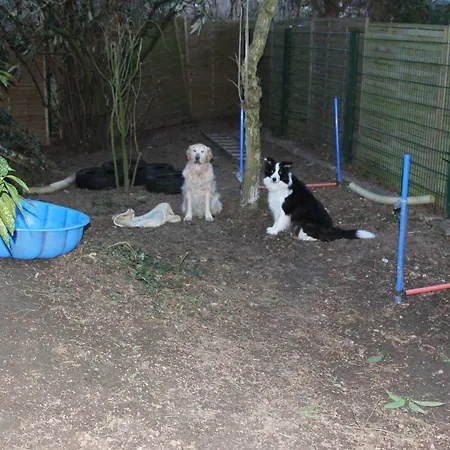 דירה Fellnasen Wg *