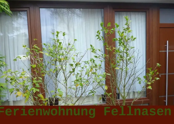Appartement Fellnasen Wg