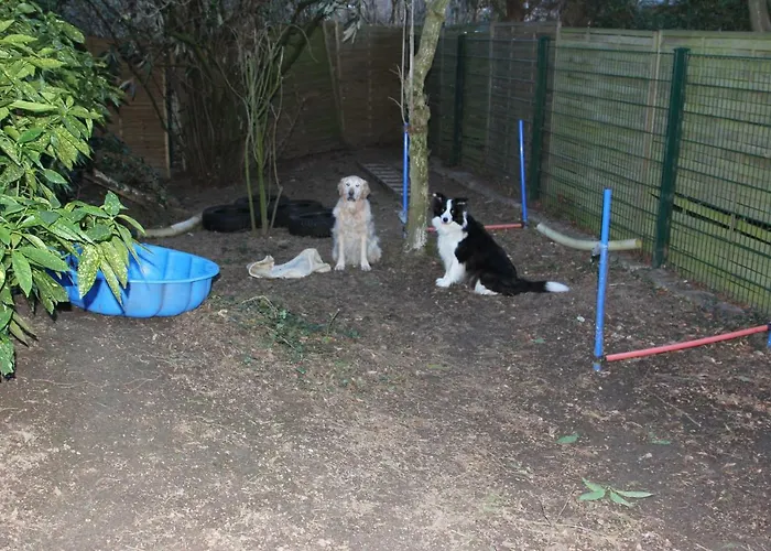 شقة Fellnasen Wg *